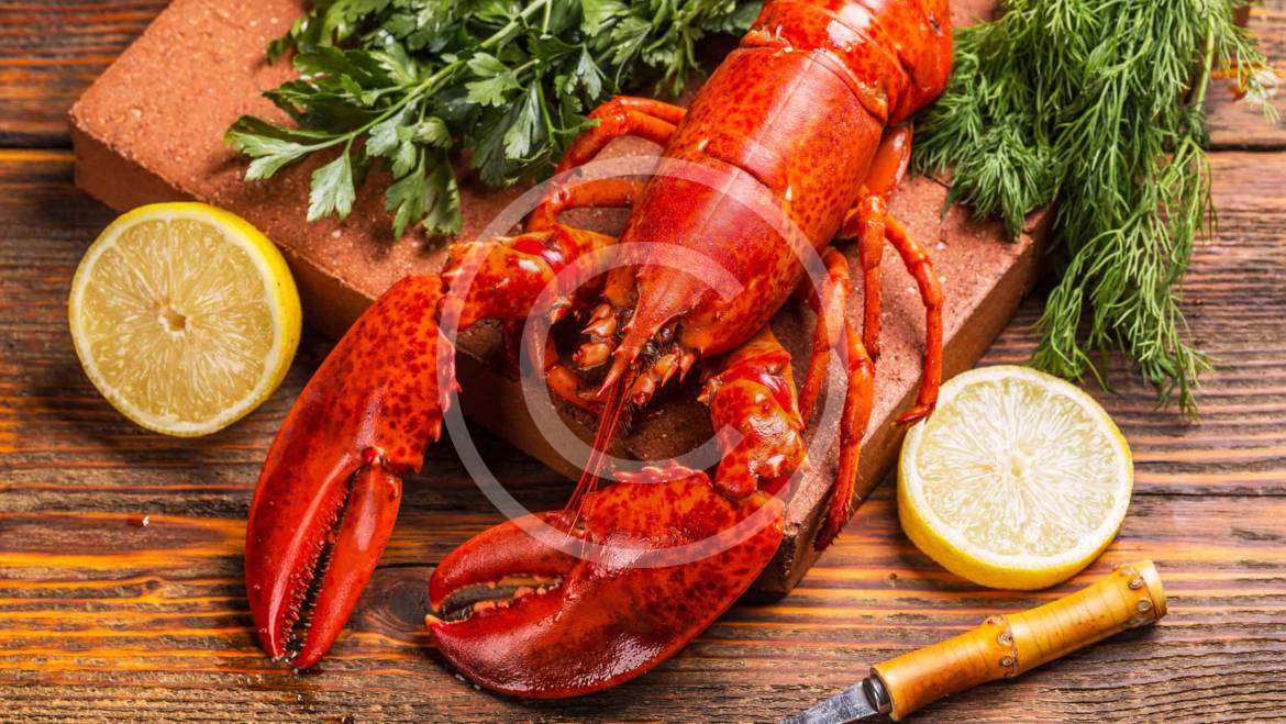 Seafood and international trade law